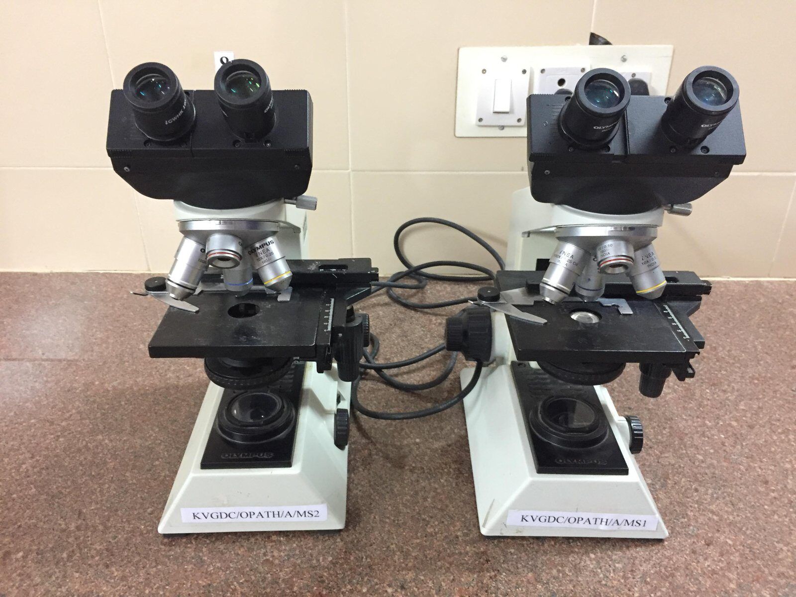 Oral Pathology and Microbiology facilities