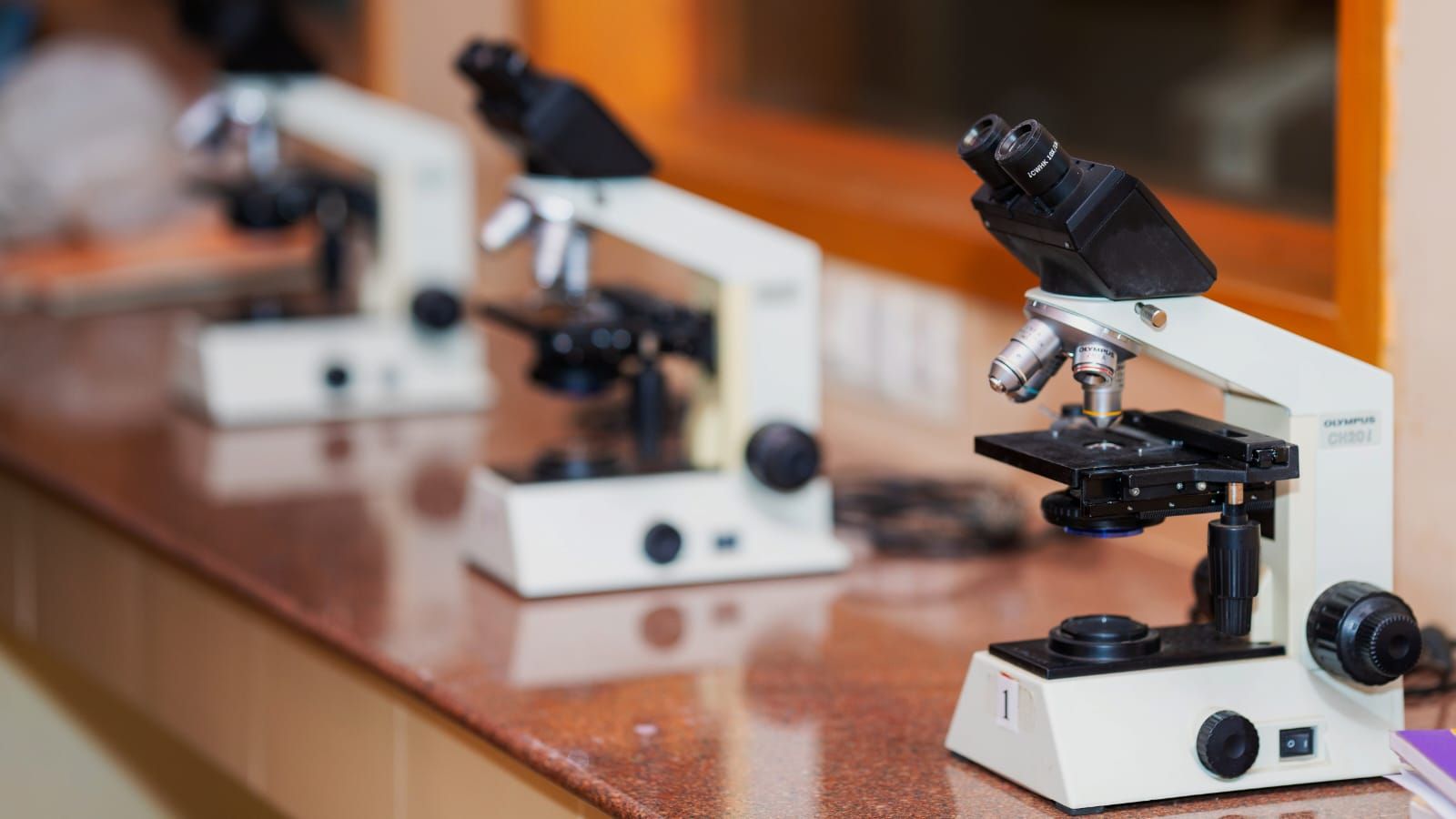 Oral Pathology and Microbiology